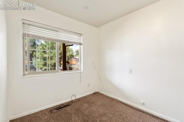 unfurnished room with carpet