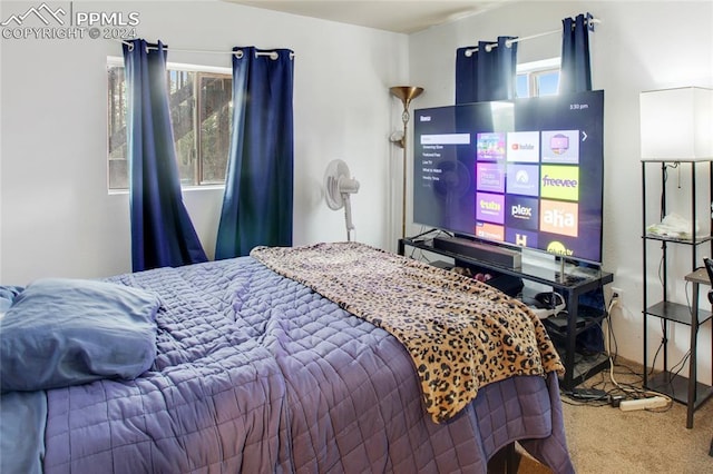 bedroom featuring carpet