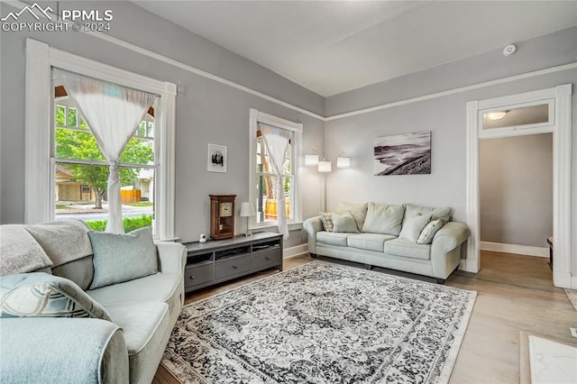 living room with light wood-type flooring