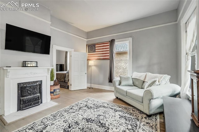 living room with light wood-type flooring