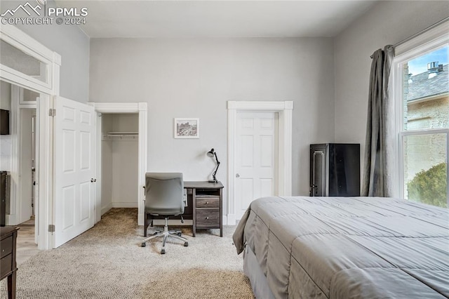 carpeted bedroom featuring a closet