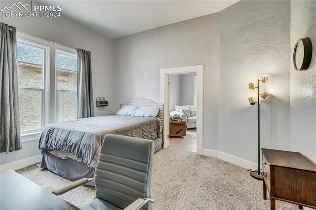 carpeted bedroom featuring multiple windows