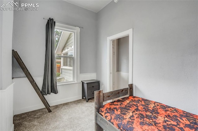 bedroom featuring multiple windows and carpet