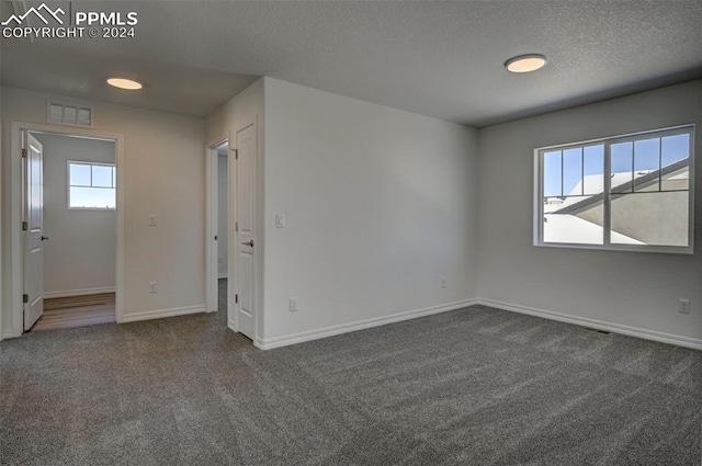 carpeted empty room featuring a wealth of natural light and a textured ceiling