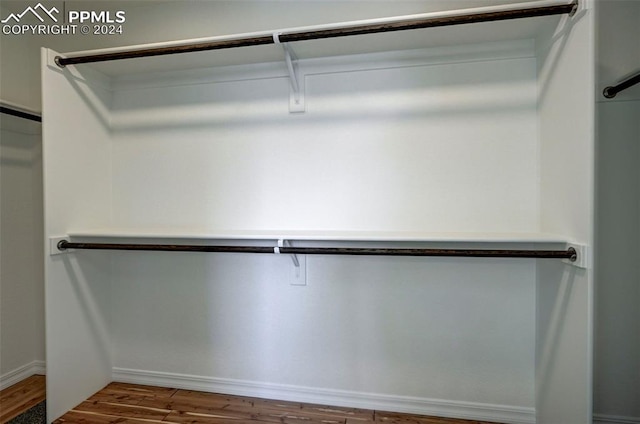 spacious closet featuring wood finished floors