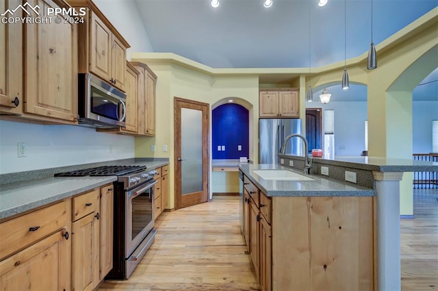 kitchen with sink, decorative light fixtures, appliances with stainless steel finishes, light hardwood / wood-style flooring, and an island with sink