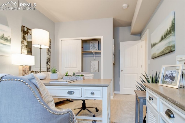 view of carpeted home office