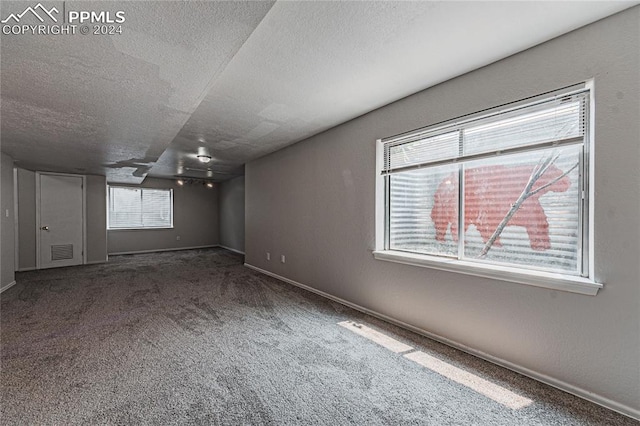 unfurnished room with a textured ceiling, carpet floors, and a healthy amount of sunlight