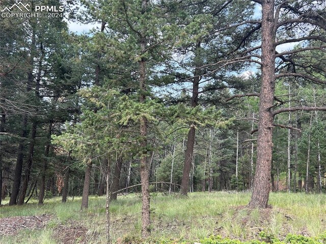 270 Southpark Rd, Florissant CO, 80816 land for sale