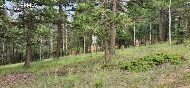 Listing photo 2 for 270 Southpark Rd, Florissant CO 80816