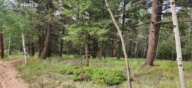 Listing photo 3 for 270 Southpark Rd, Florissant CO 80816