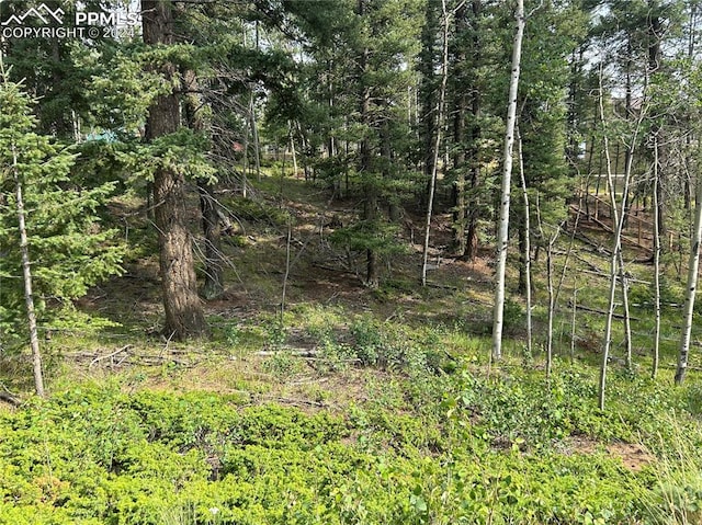 127 Rampart Cir, Florissant CO, 80816 land for sale