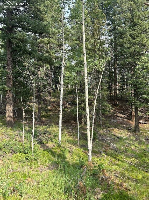 Listing photo 2 for 127 Rampart Cir, Florissant CO 80816