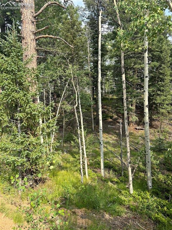 Listing photo 3 for 127 Rampart Cir, Florissant CO 80816