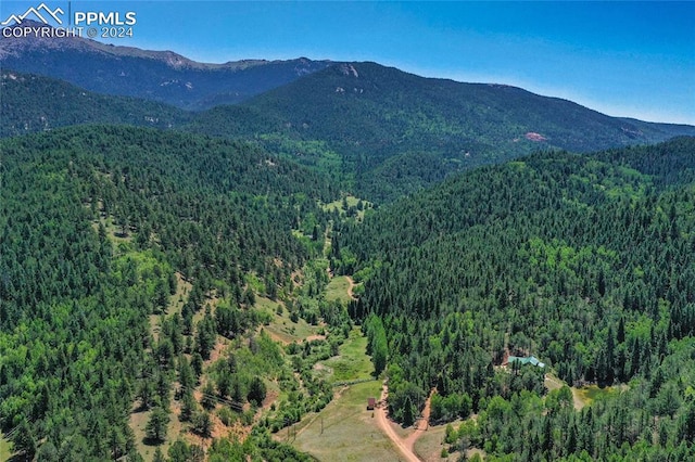 property view of mountains