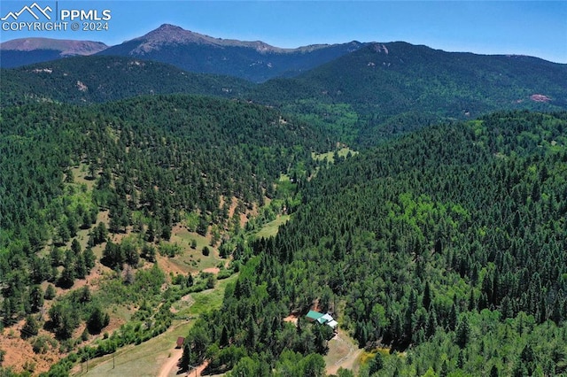 exterior space featuring a mountain view