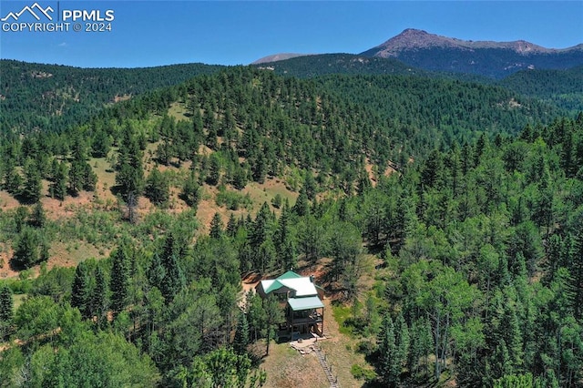 birds eye view of property featuring a mountain view