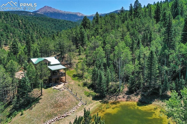 aerial view with a mountain view