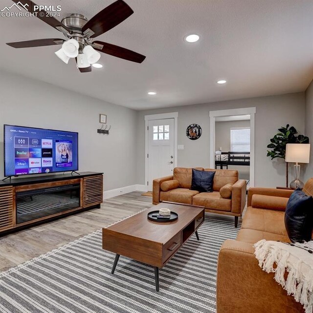 living room featuring wood-type flooring