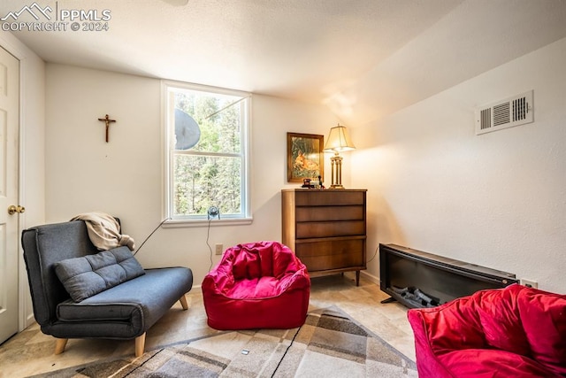 sitting room with vaulted ceiling