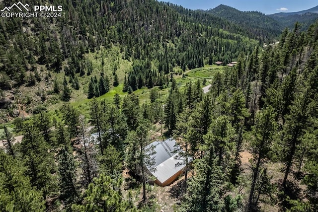 drone / aerial view with a mountain view