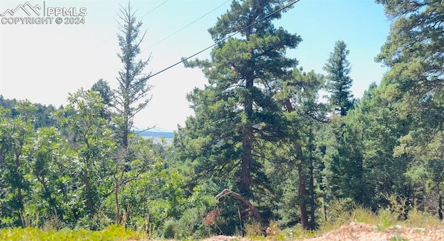 2450 Elk Park Rd, Larkspur CO, 80118 land for sale