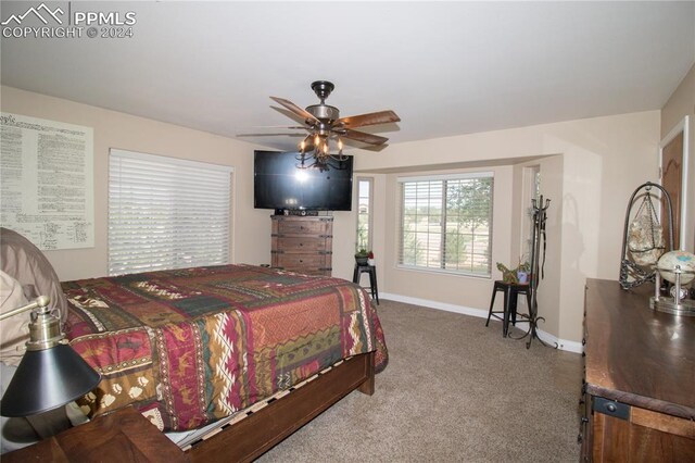 1933 Top Notch Trl, Penrose, CO 81240 - carpeted bedroom with baseboards and ceiling fan