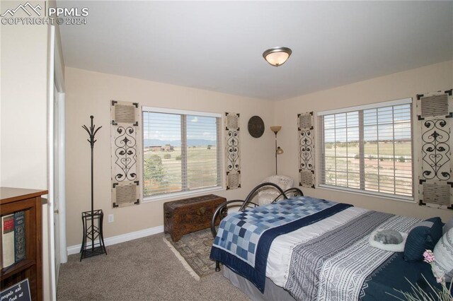 1933 Top Notch Trl, Penrose, CO 81240 - bedroom with carpet flooring and baseboards