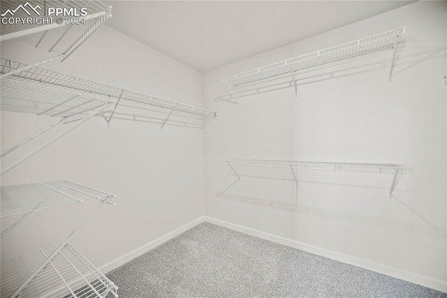 walk in closet featuring carpet