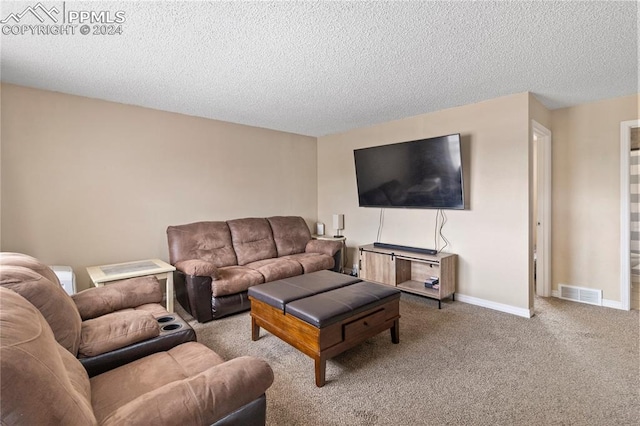 carpeted living room with a textured ceiling