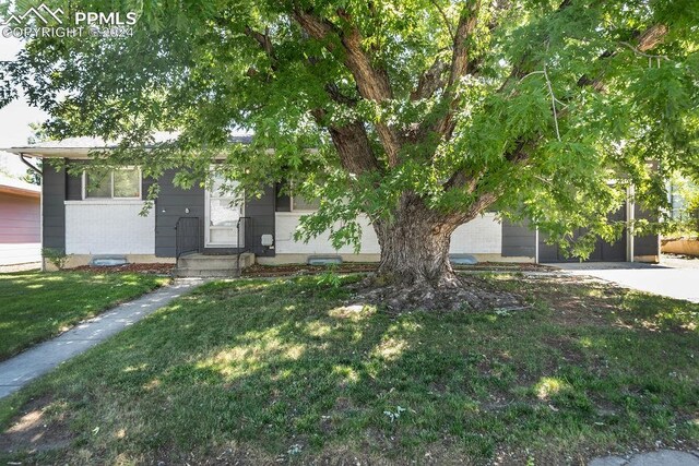 view of property hidden behind natural elements with a front yard