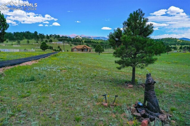 view of yard with a mountain view and a rural view