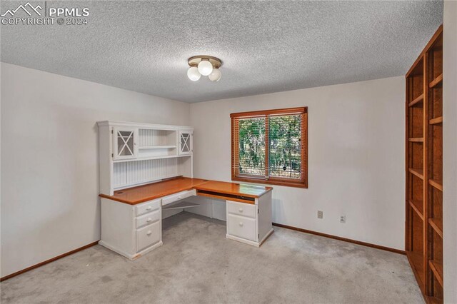 unfurnished office featuring light carpet and a textured ceiling