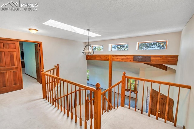 staircase featuring a skylight, a textured ceiling, and carpet floors