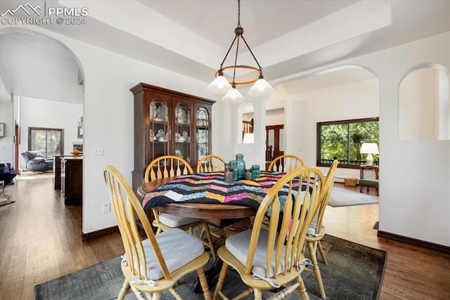 dining room featuring dark hardwood / wood-style flooring and a tray ceiling