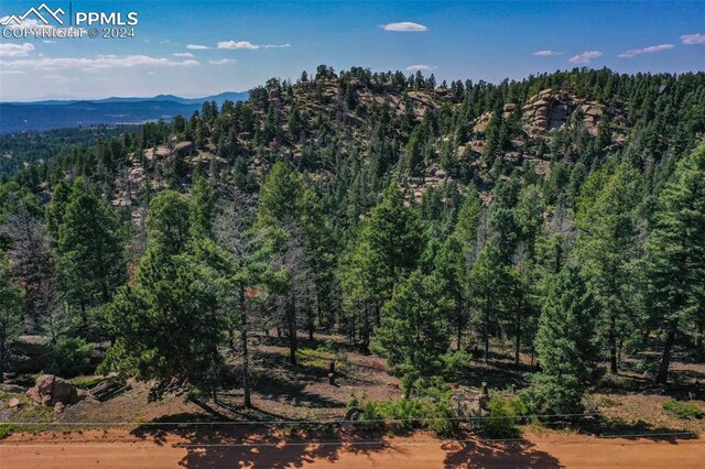 3546 N Mountain Estates Rd, Florissant, CO 80814