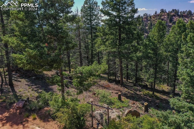 Listing photo 2 for 3546 N Mountain Estates Rd, Florissant CO 80814