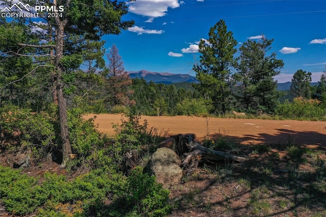 Listing photo 3 for 3546 N Mountain Estates Rd, Florissant CO 80814