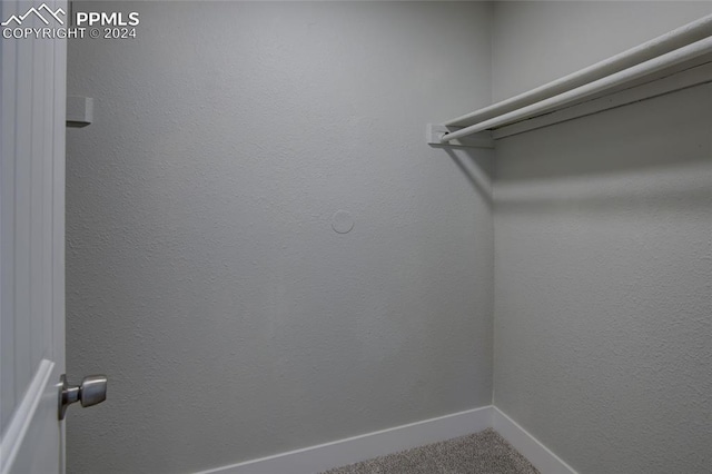 spacious closet with carpet floors