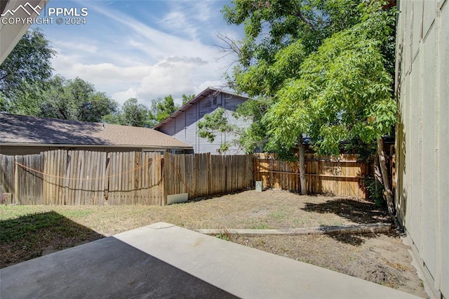 view of yard featuring a patio