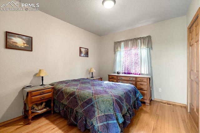 bedroom featuring a closet and light wood-type flooring