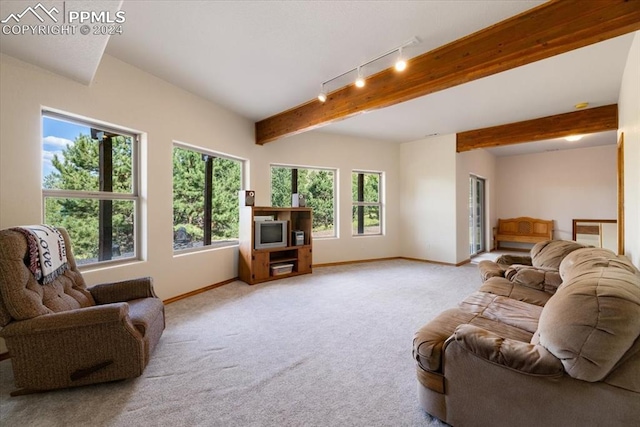 living room with plenty of natural light, beamed ceiling, track lighting, and light colored carpet