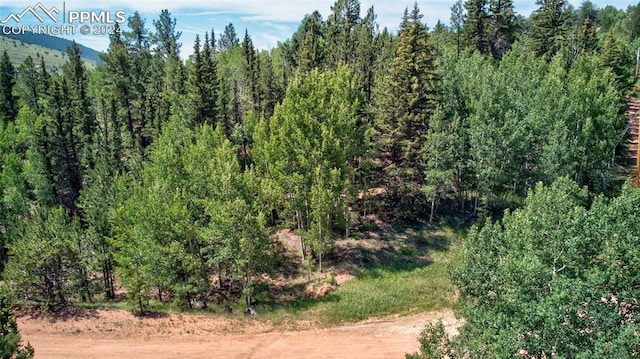 158 Rattler Ct, Cripple Creek CO, 80813 land for sale