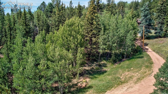 Listing photo 2 for 158 Rattler Ct, Cripple Creek CO 80813