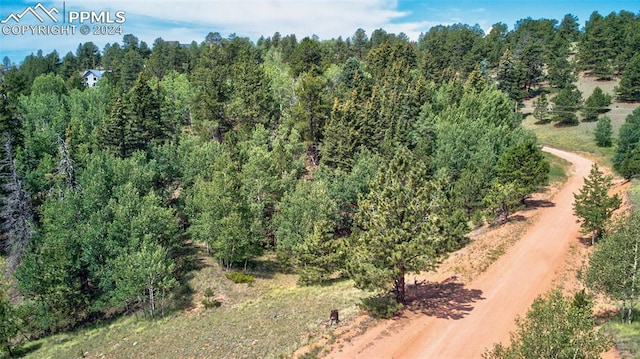 Listing photo 3 for 158 Rattler Ct, Cripple Creek CO 80813