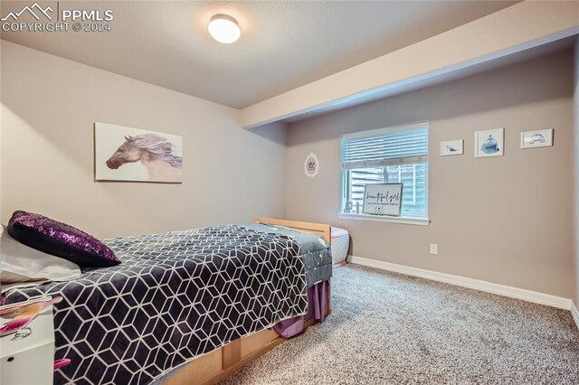 bedroom featuring carpet flooring