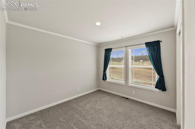 spare room with carpet flooring and crown molding