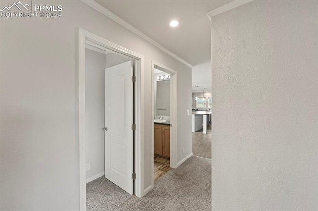 corridor with sink, crown molding, and light colored carpet