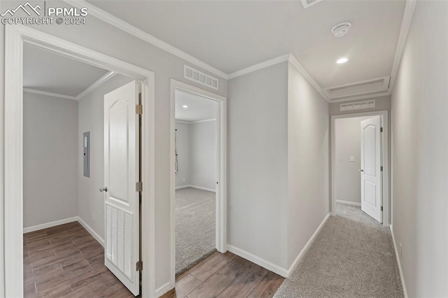 corridor featuring ornamental molding and carpet flooring