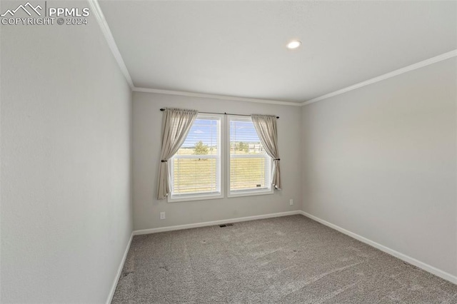 carpeted empty room with crown molding